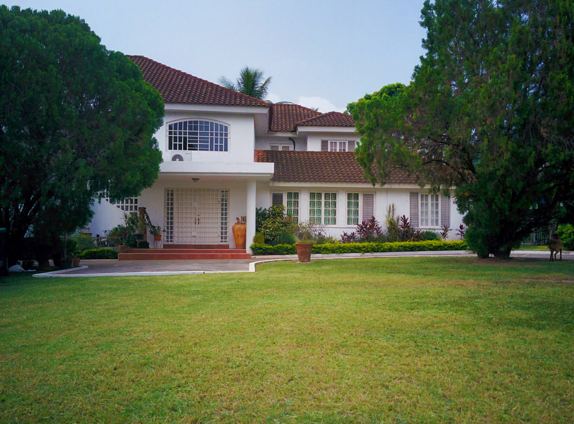 Chester Avenue Guest House Кингстън Екстериор снимка