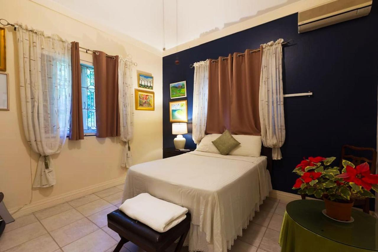 Chester Avenue Guest House Кингстън Екстериор снимка